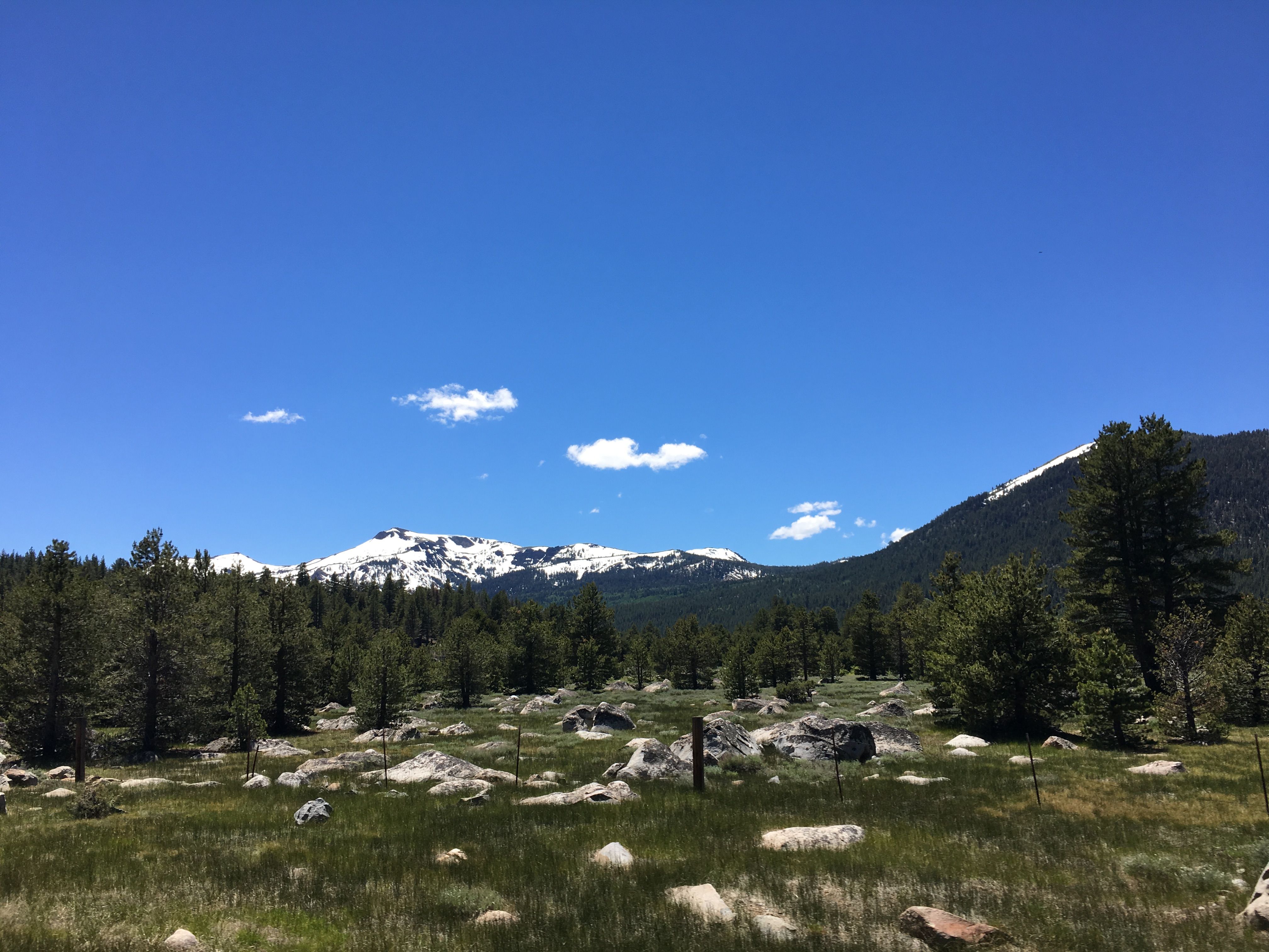 Lake Tahoe Hope Valley Sorensons 