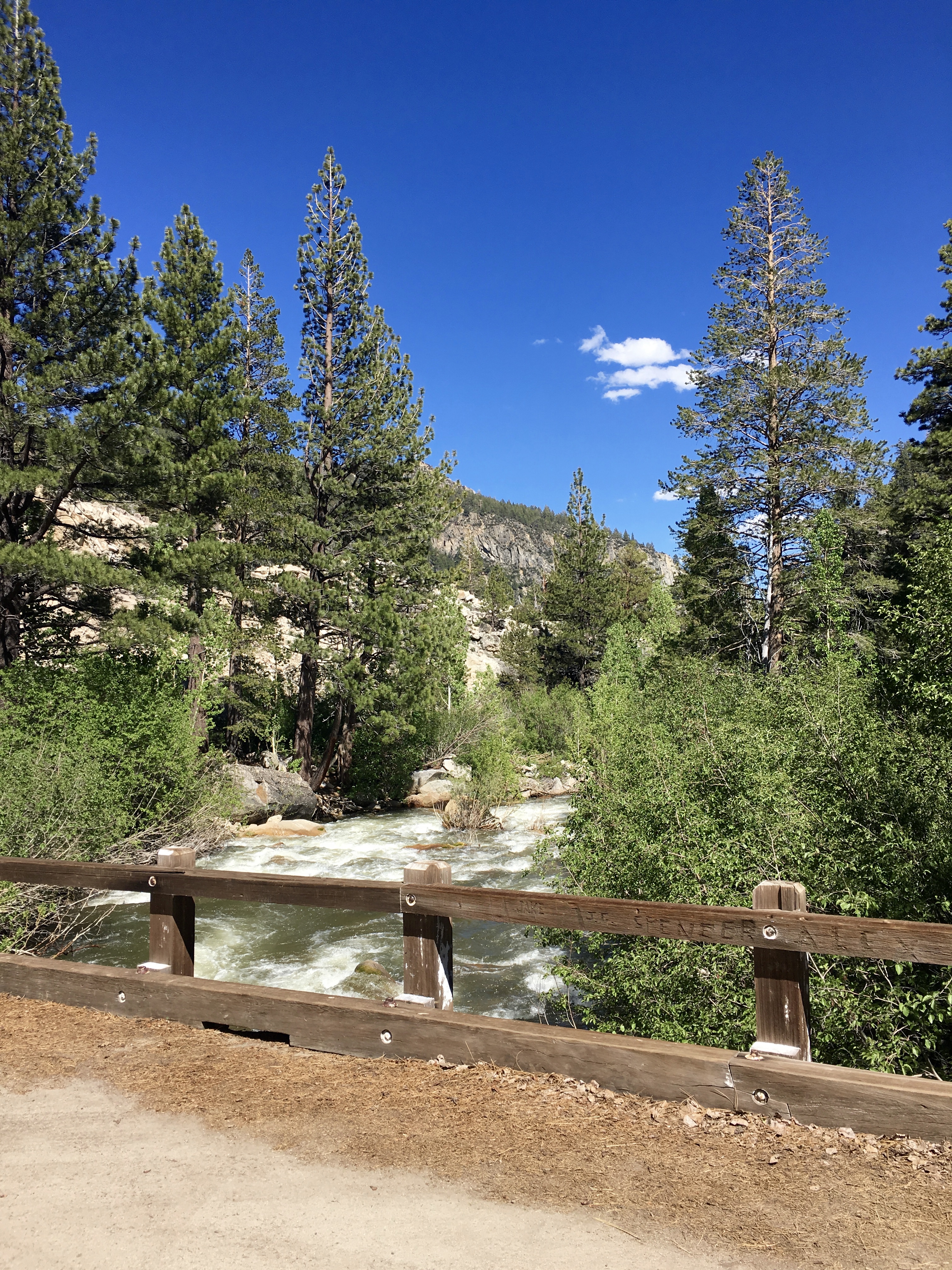 Carson River California