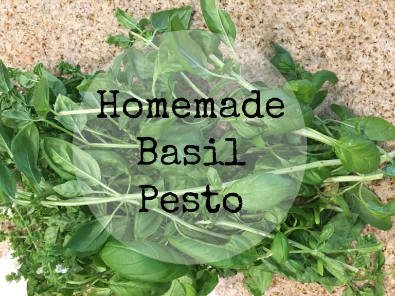 Homemade Basil Pesto