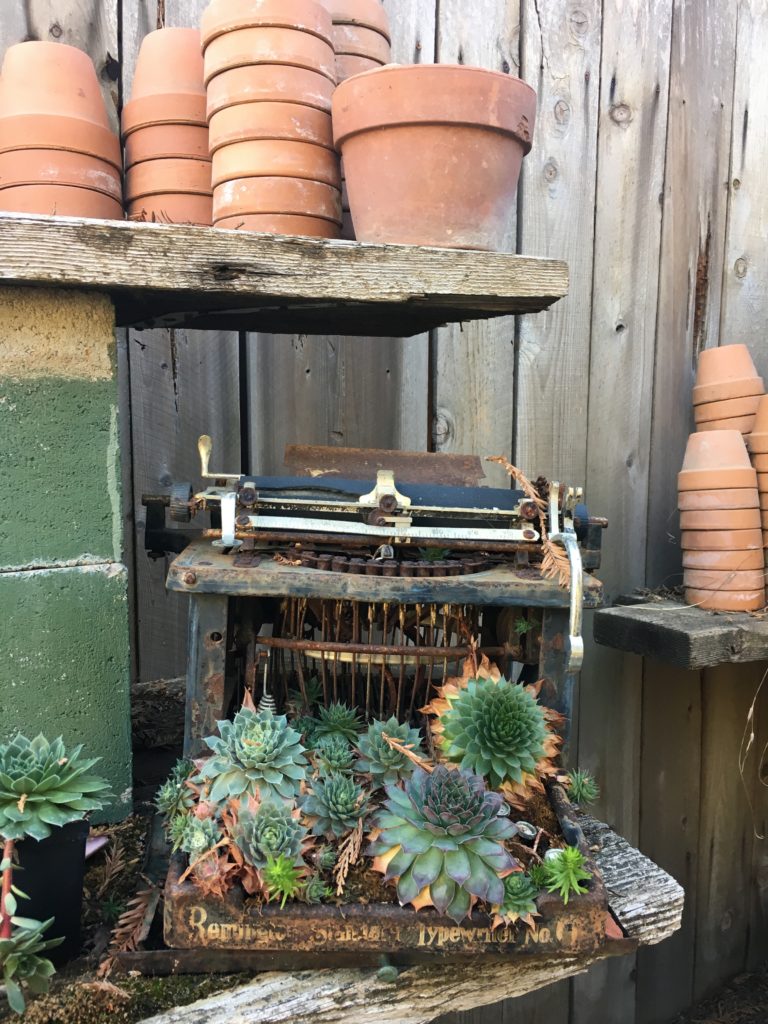 the-antique-gardener-sutter-creek