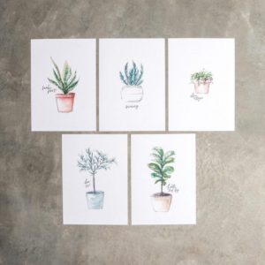 magnolia-plant-free-printables