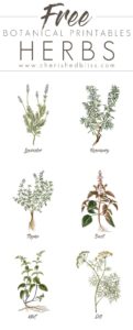 Spring-Herb-Printables