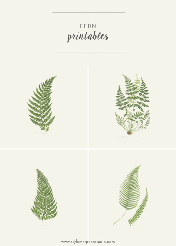 free-fern-printables