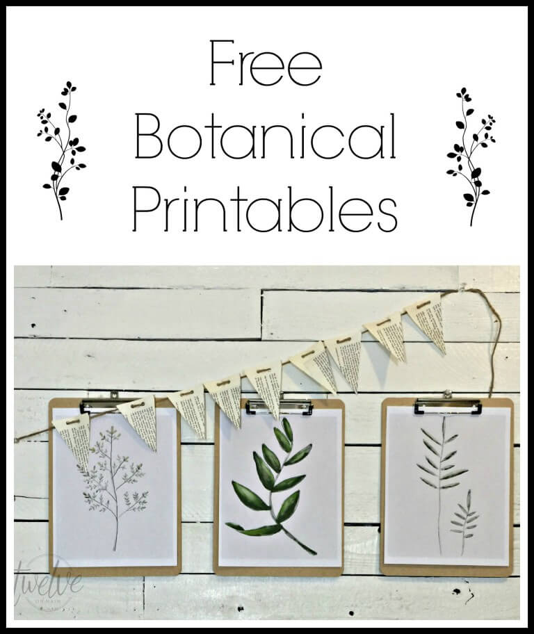 free-spring-botanical-printables