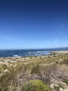 dillon-beach-california