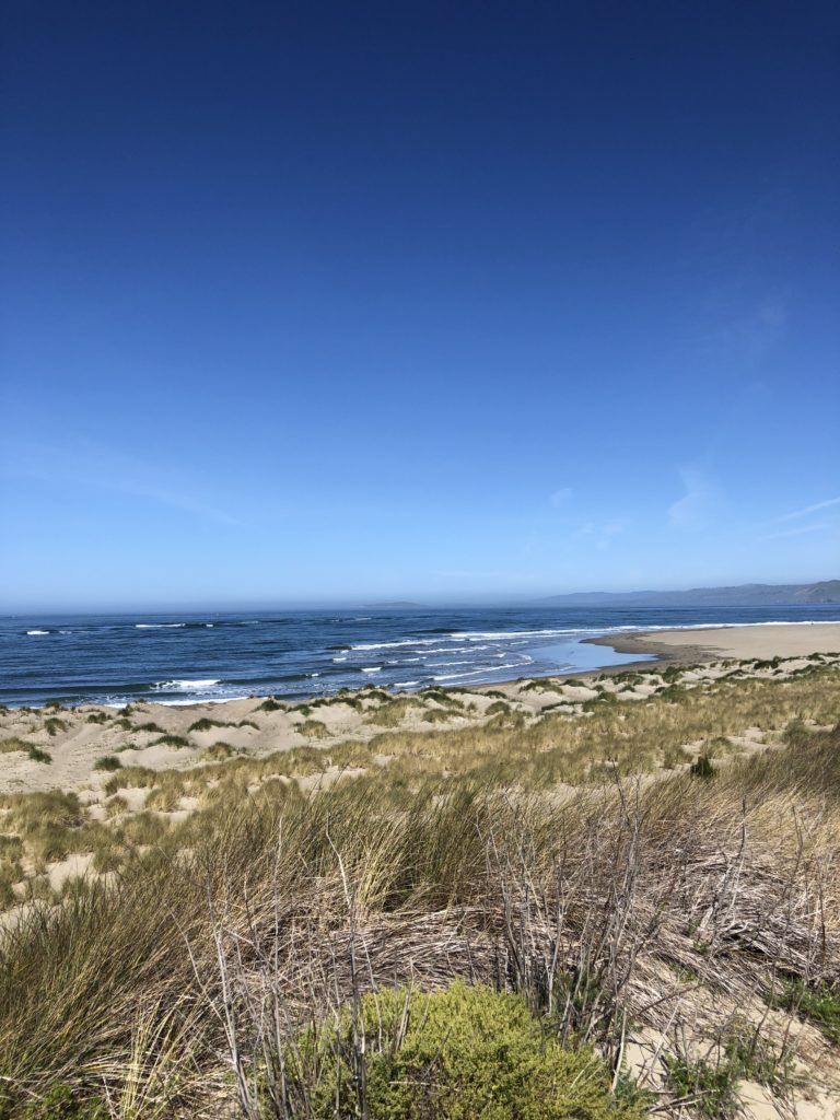 dillon-beach-california