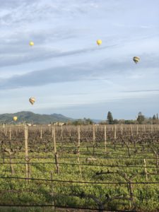 napa-valley-hot-air-balloons