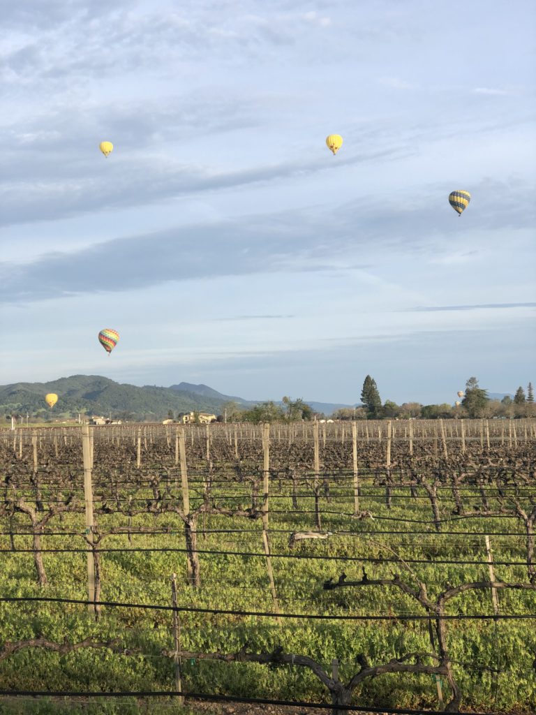 napa-valley-hot-air-balloons