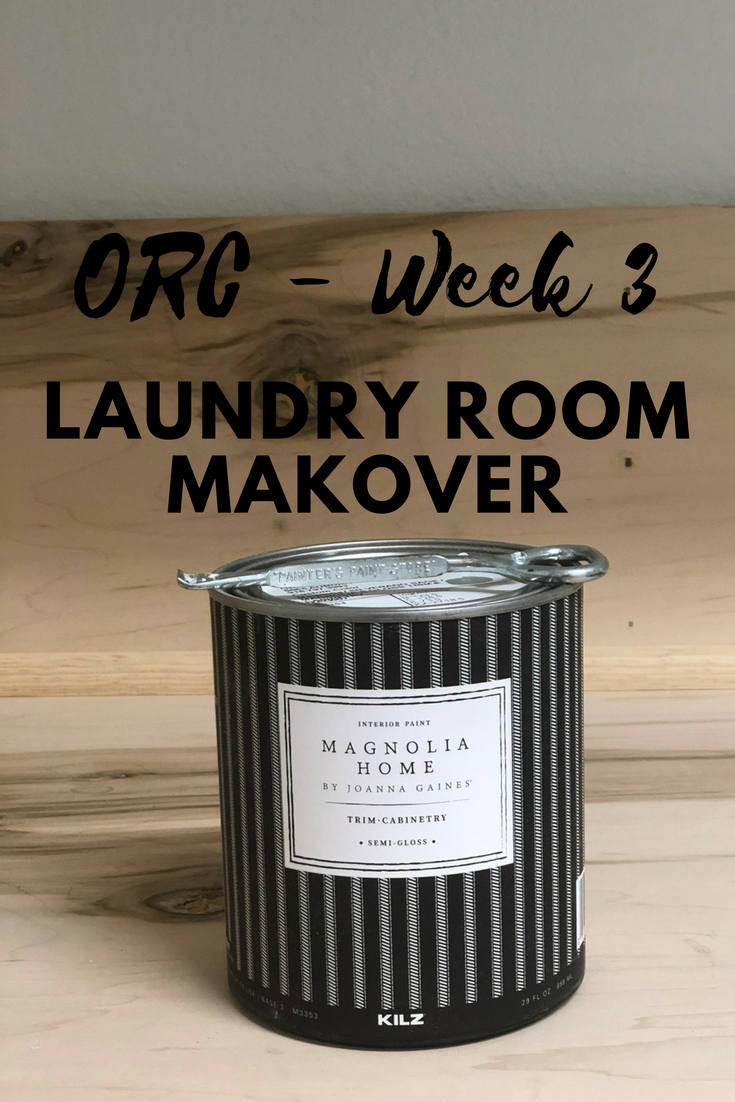 One Room Challenge – Week 3: Paint Happy