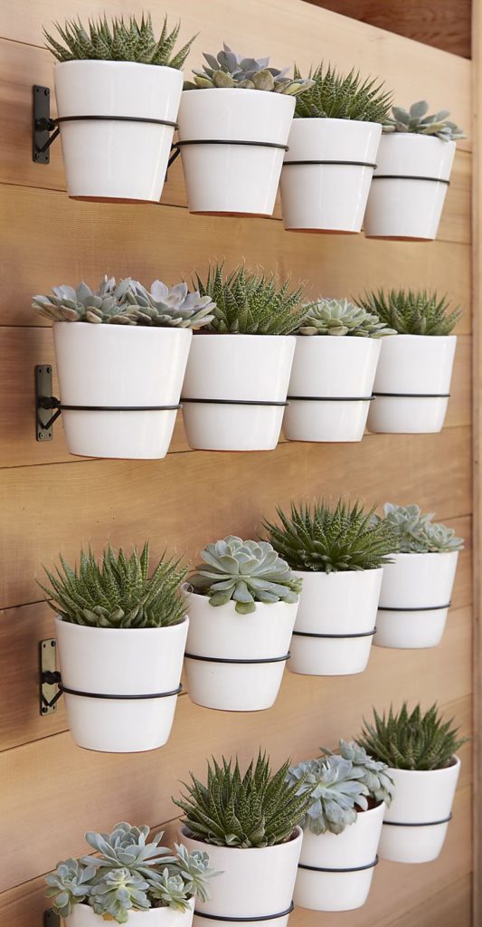 Wall-planter-hooks-from-Crate-Barrel