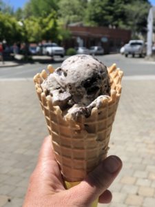 treats-ice-cream-nevada-city