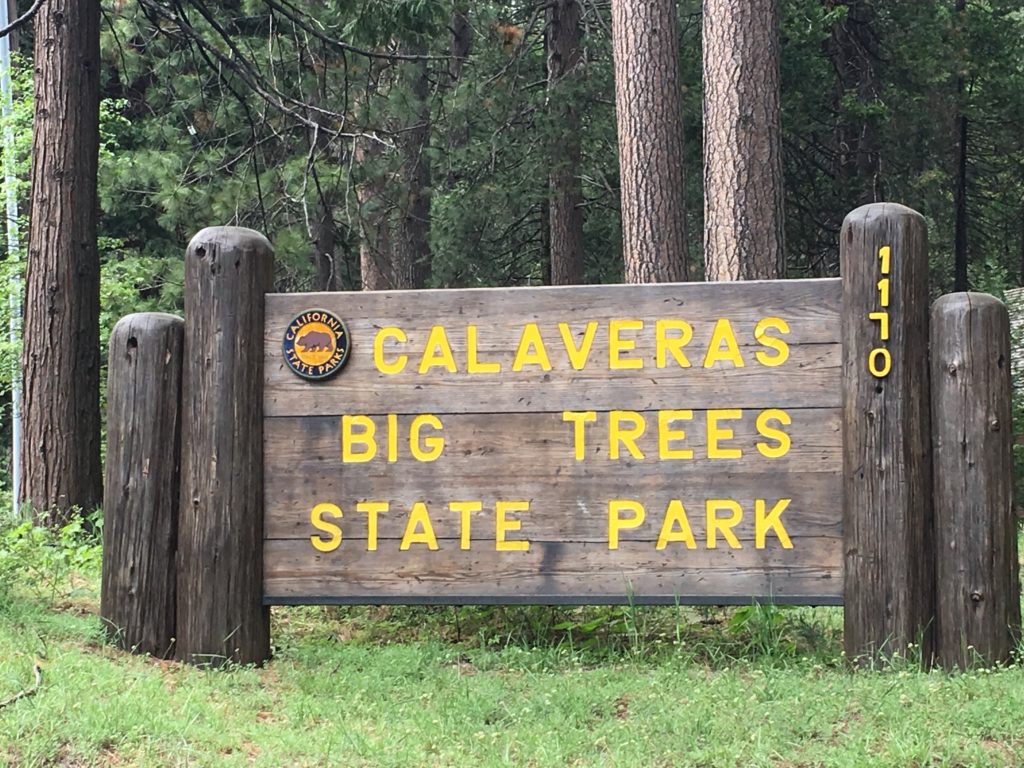 calaveras-big-trees-california