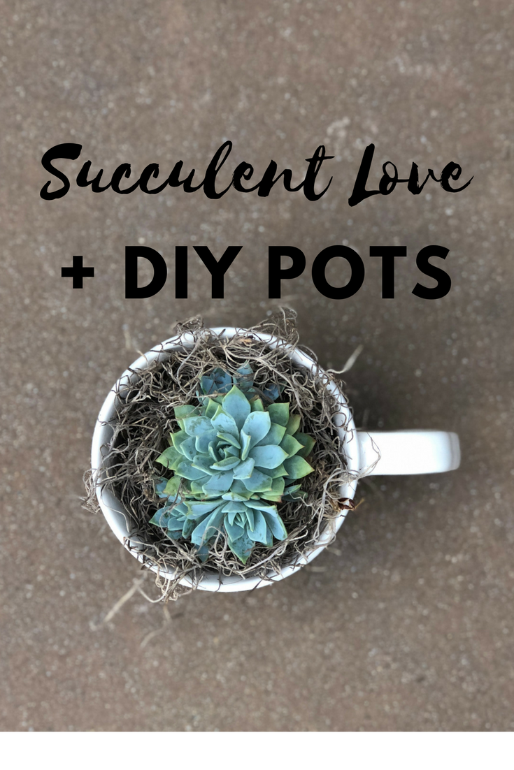 Succulent Love + DIY Pots