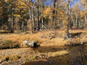 sierra-nevada-in-the-fall