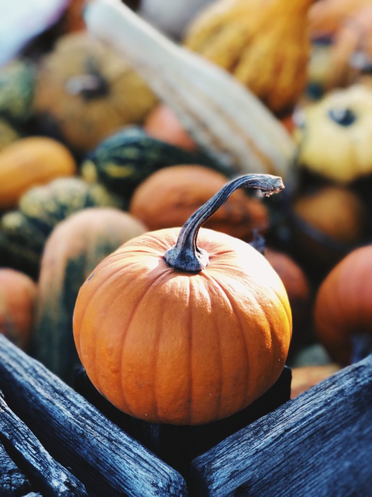 10 Scrumptious Pumpkin Recipes