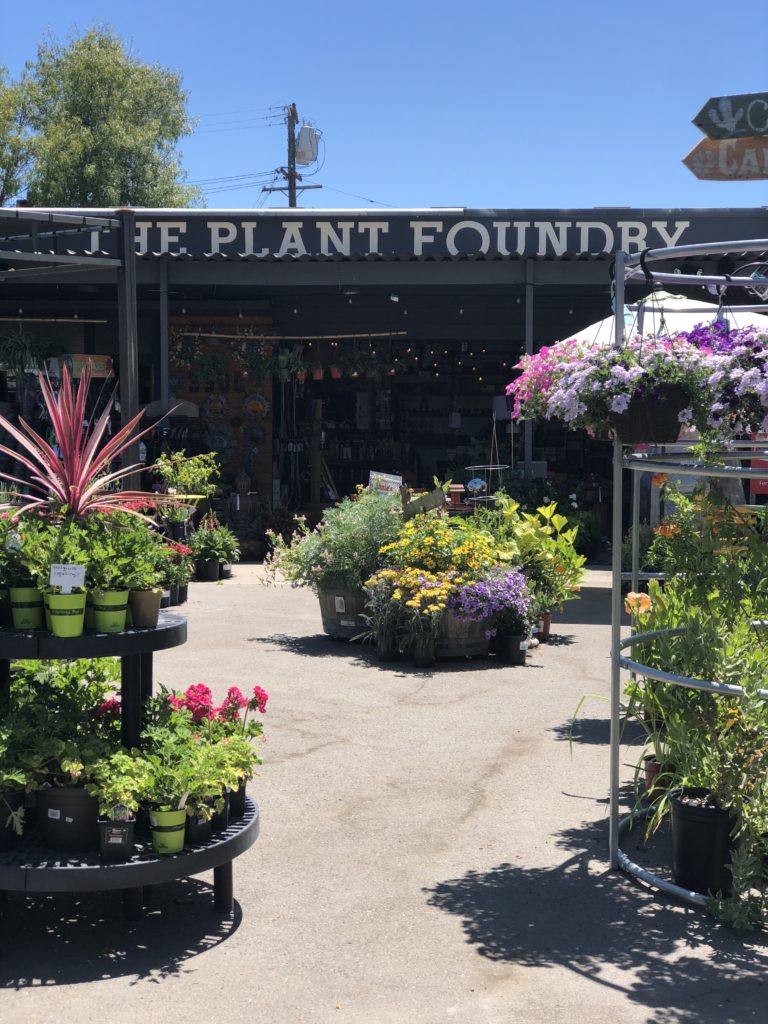 the-plant-foundry-sacramento