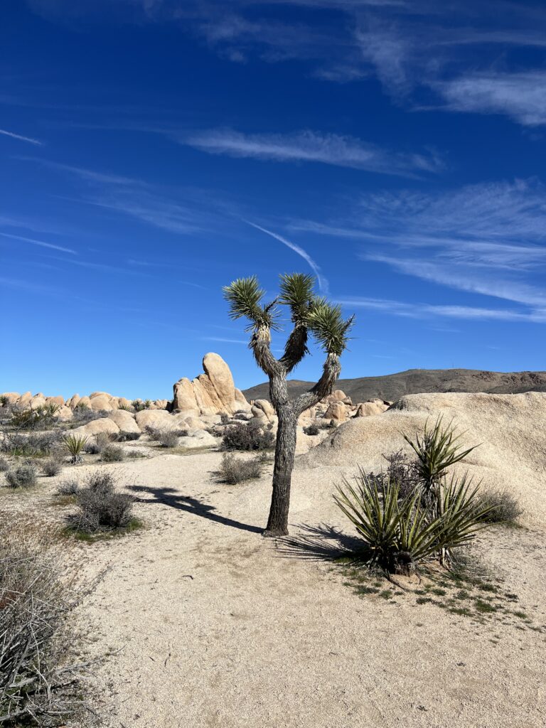 Life Is a series of moments